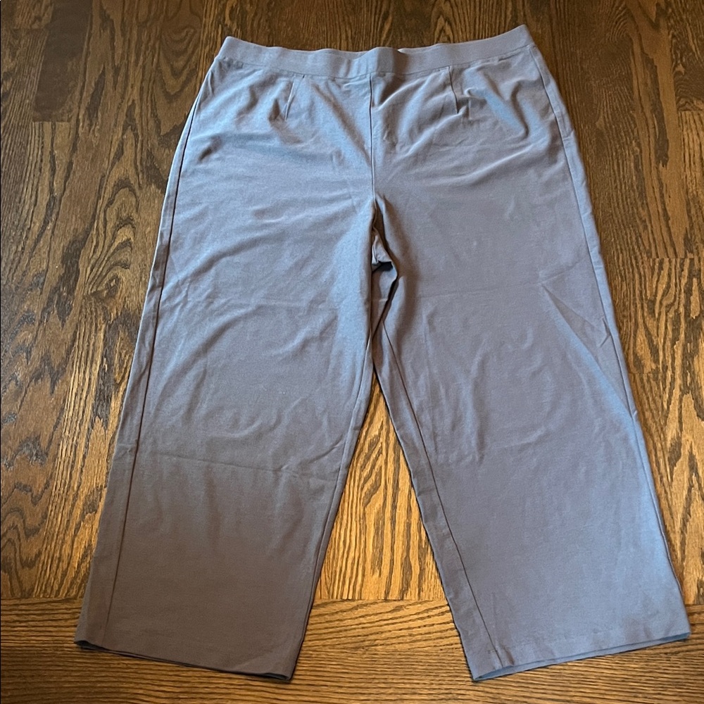 Eileen Fisher Woman Stretch Slacks